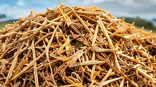 Agricultural biomass material illustration