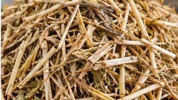 Agricultural biomass material illustration